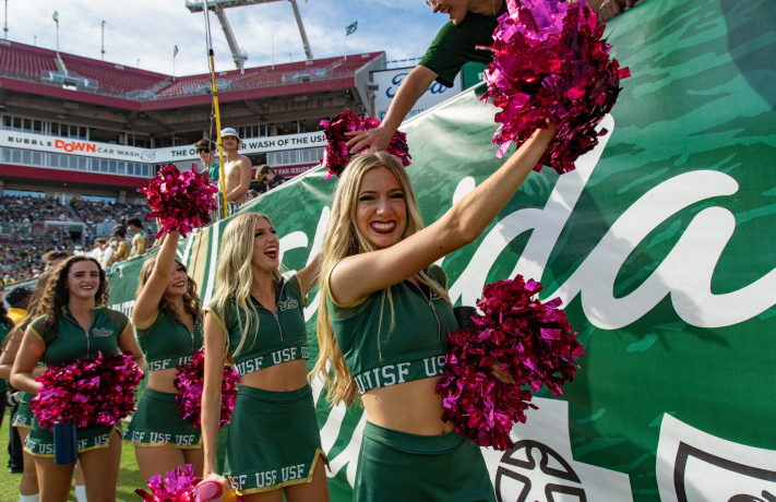 University of South Florida