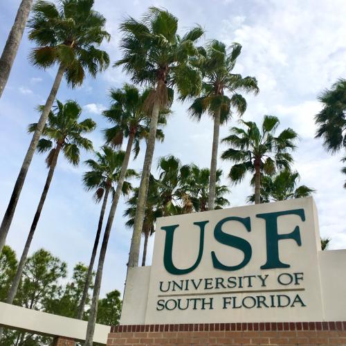 University of South Florida | Brive