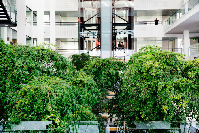 University of Southern Denmark (SDU Sonderborg)