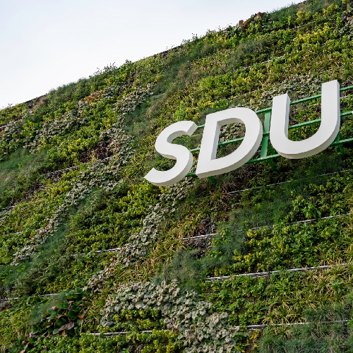 University of Southern Denmark (SDU Sonderborg) | Brive