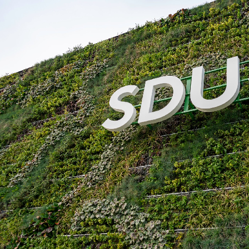 University of Southern Denmark (SDU Vejle) | Brive