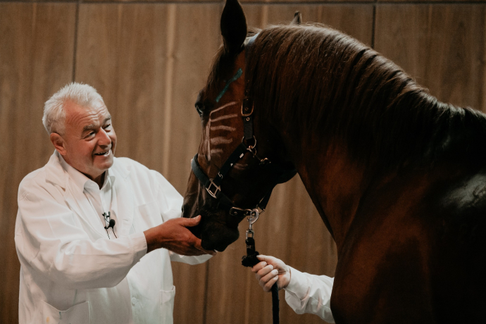 University of Veterinary Medicine Budapest