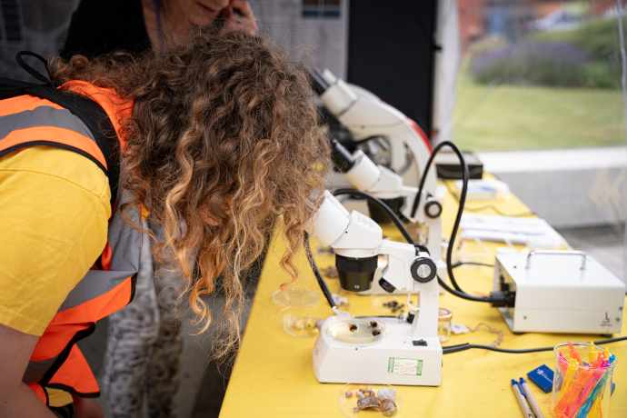 University of Wolverhampton