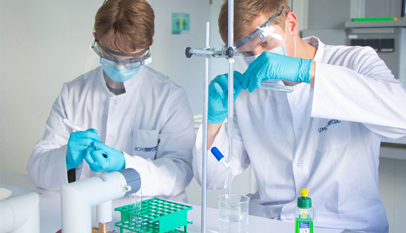 University Targu Mures Medical Campus Hamburg (UMCH)