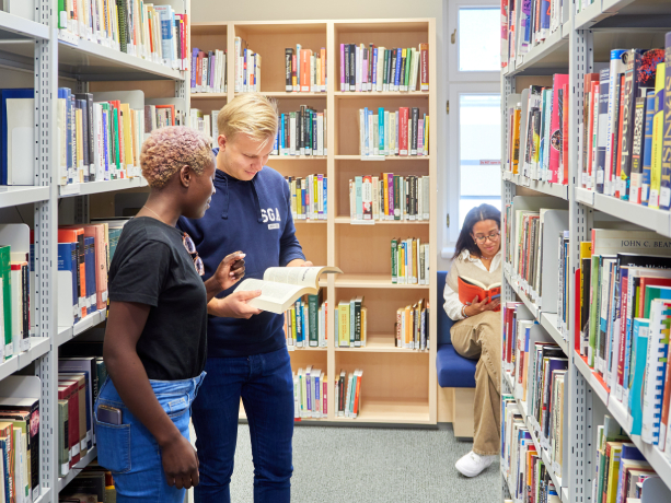 Webster Vienna Private University