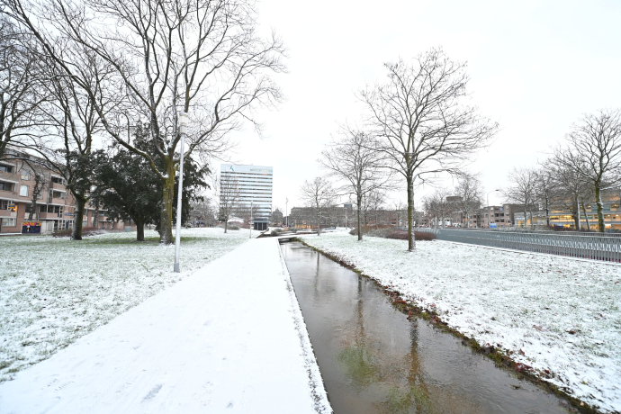 Wittenborg University of Applied Sciences (Amsterdam)
