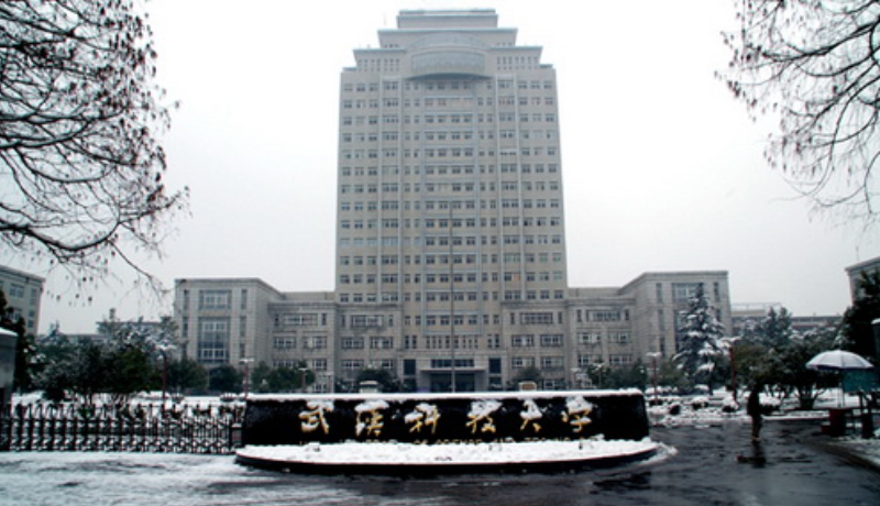 Wuhan University of Science and Technology