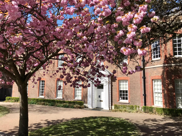 Glion Institute of Higher Education (London)