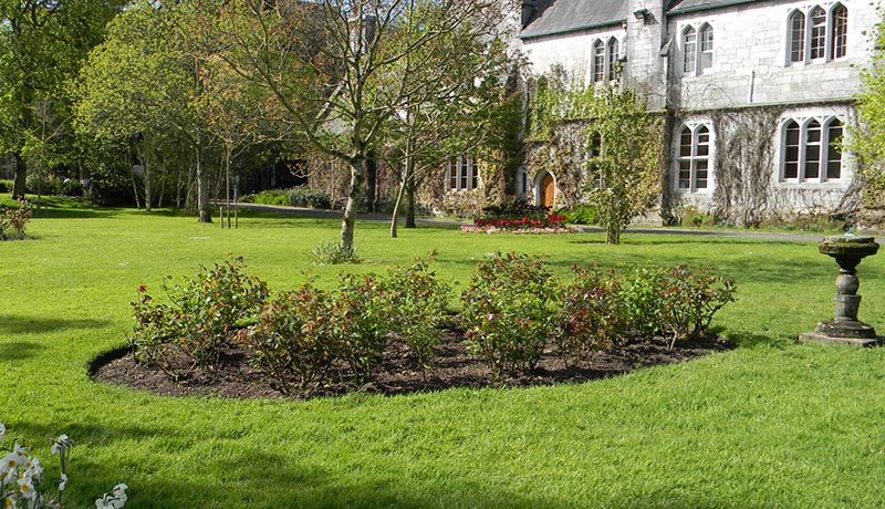 University College Cork