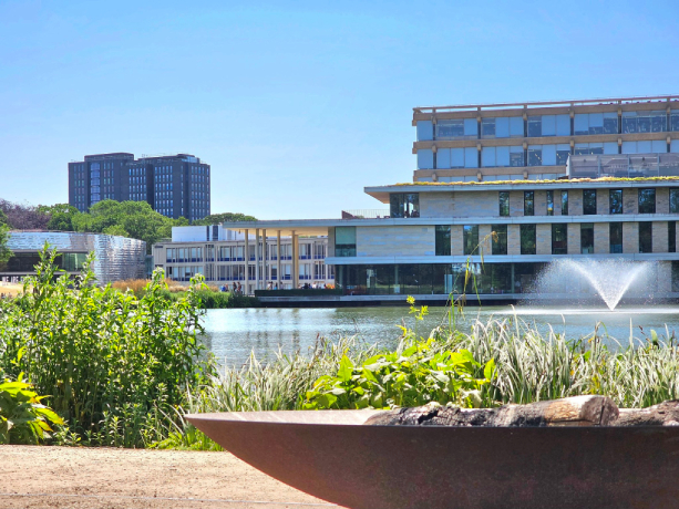 University of Essex